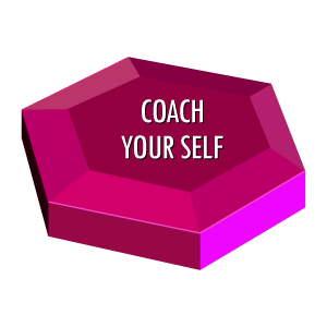 Individual Effectiveness Coach Your Self
