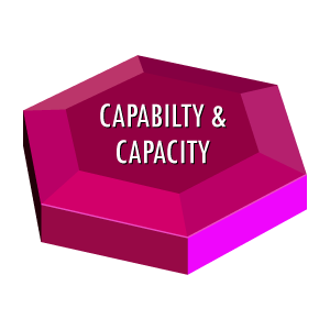 Organisational Effectiveness Capability and Capacity