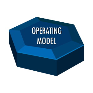 Organisational Effectiveness Operating Model