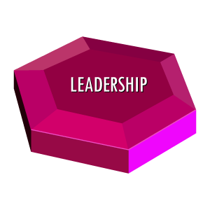 team effectiveness Leadership