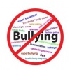 bully free zones  what works to eliminate bullying